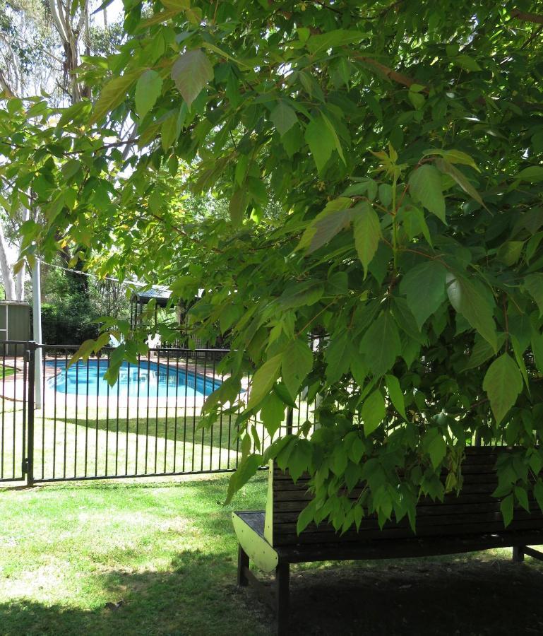 Beechworth Holiday Park Εξωτερικό φωτογραφία