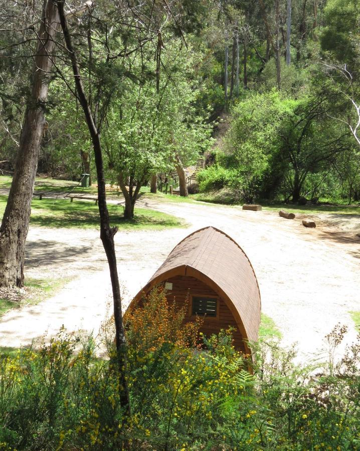 Beechworth Holiday Park Εξωτερικό φωτογραφία