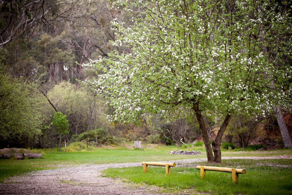 Beechworth Holiday Park Εξωτερικό φωτογραφία