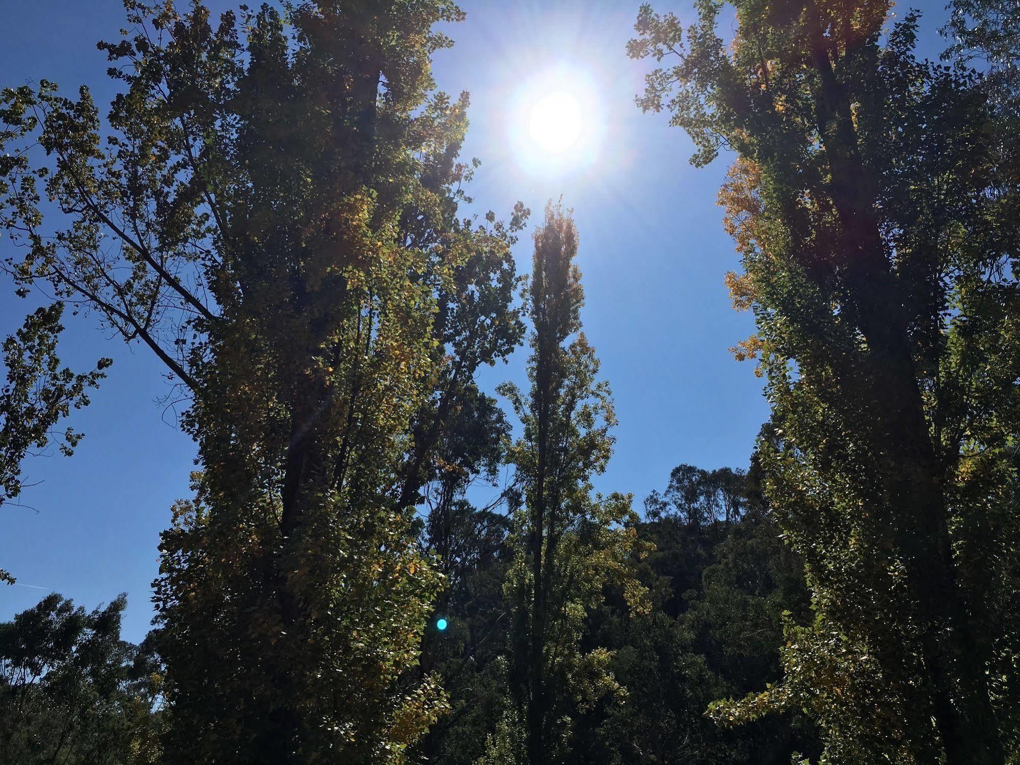 Beechworth Holiday Park Εξωτερικό φωτογραφία